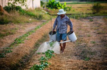 watering-watering-can-man-vietnam-162637